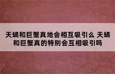 天蝎和巨蟹真地会相互吸引么 天蝎和巨蟹真的特别会互相吸引吗